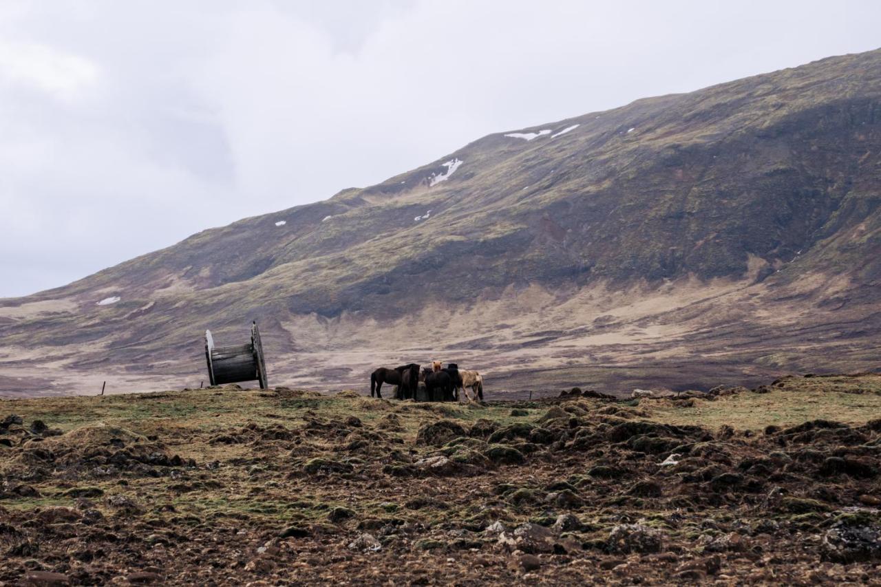 Golden Circle Luxury View * Selfoss